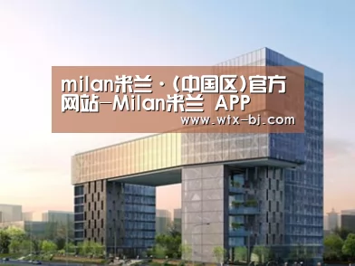 案例展示四