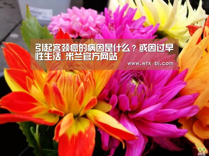 米兰官方网站