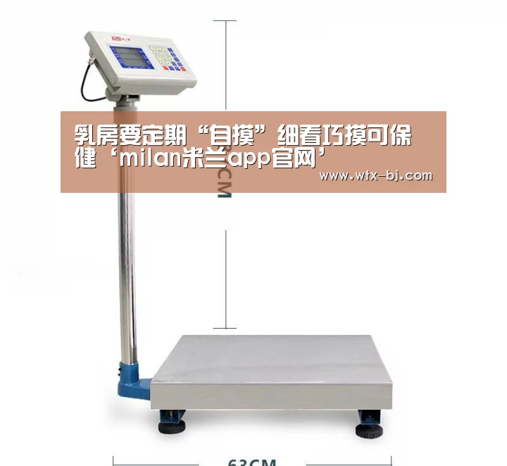 milan米兰app官网