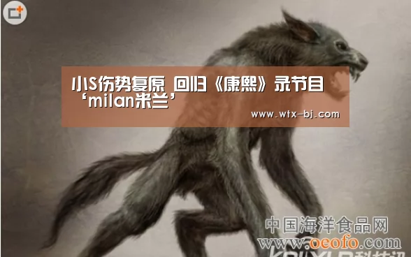 小S伤势复原 回归《康熙》录节目‘milan米兰’(图4) milan米兰