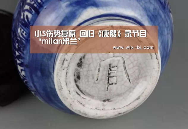 小S伤势复原 回归《康熙》录节目‘milan米兰’(图1) milan米兰app官网