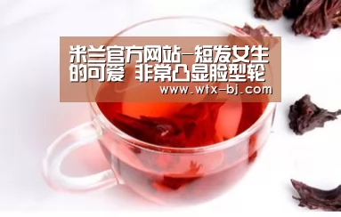 milan米兰app官网