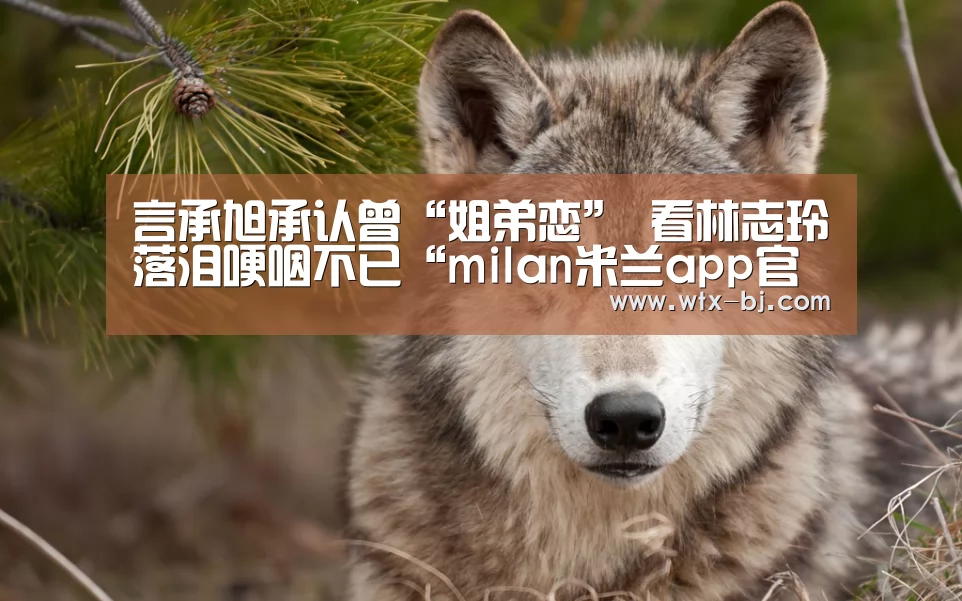 言承旭承认曾“姐弟恋” 看林志玲落泪哽咽不已“milan米兰app官网”(图1) milan米兰app官网