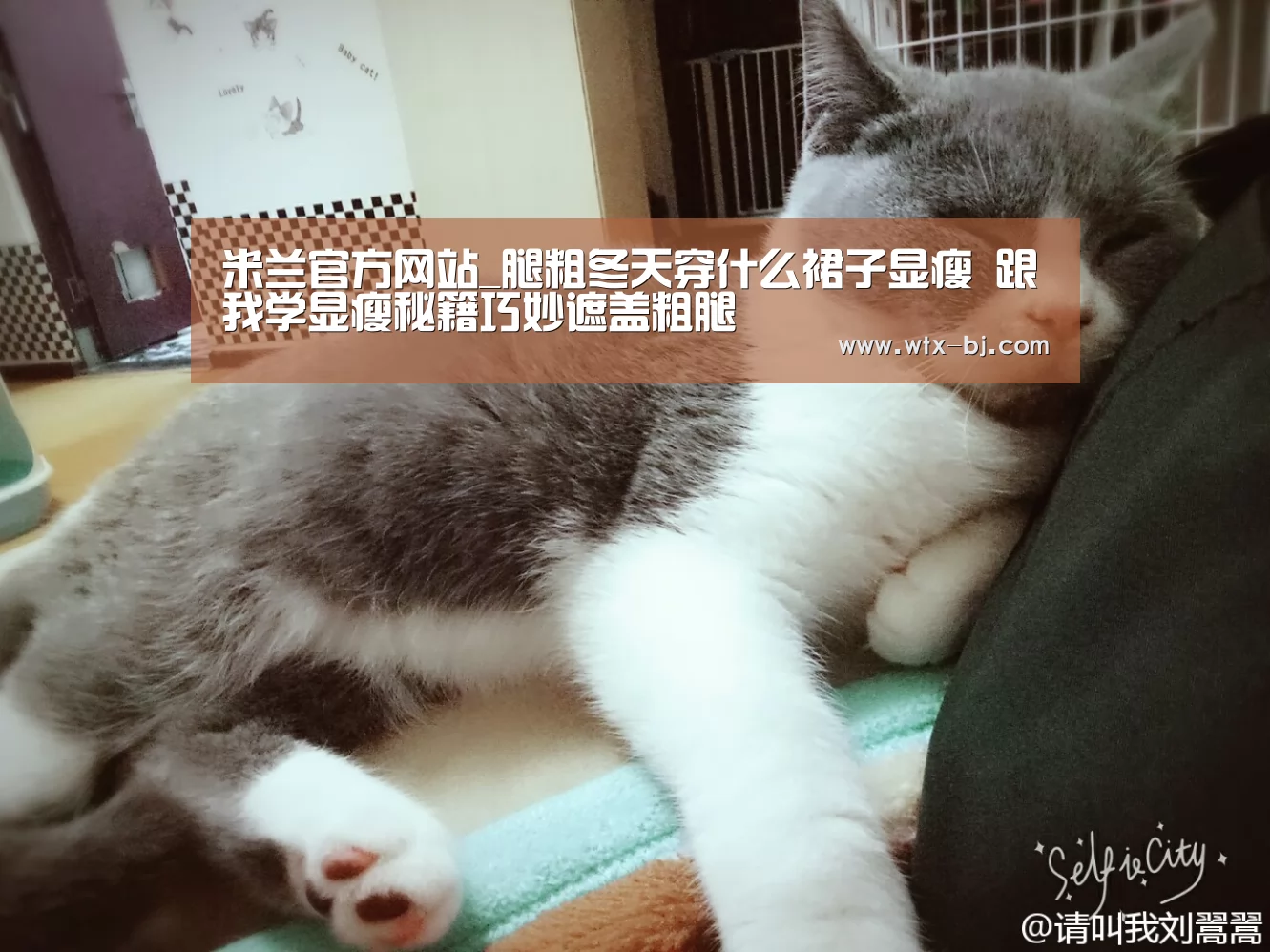 米兰官方网站_腿粗冬天穿什么裙子显瘦 跟我学显瘦秘籍巧妙遮盖粗腿(图2) milan米兰